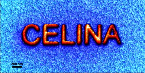 3D plot of SEM image: "CELINA" written with electron beam induced deposition (EBID) with the precursor ironpentacarbonyl on Si(100) in our Lab (image: Marbach)
