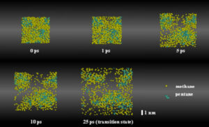 Interplay of vapor nucleation and segregation during alkane distillation. (Image: Zahn)