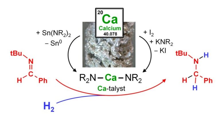 “Ca”-talysis: Catalysis with Calcium