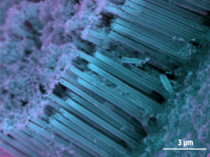 Pt/Ir nanotubes