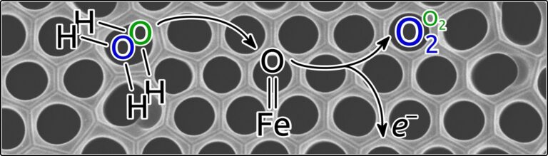 Greater sustainability thanks to improved isotope analysis