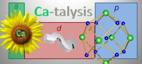 The collage shows a sun flower and chemical composition.