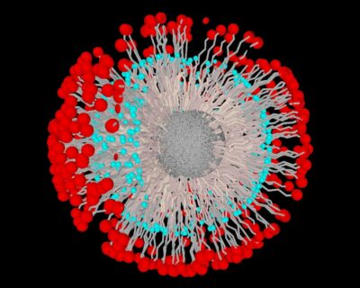 Caption: 3D diagram of a second-shell functionalised Al2O3 nanoparticle (Image: FAU/Tobias Luchs)