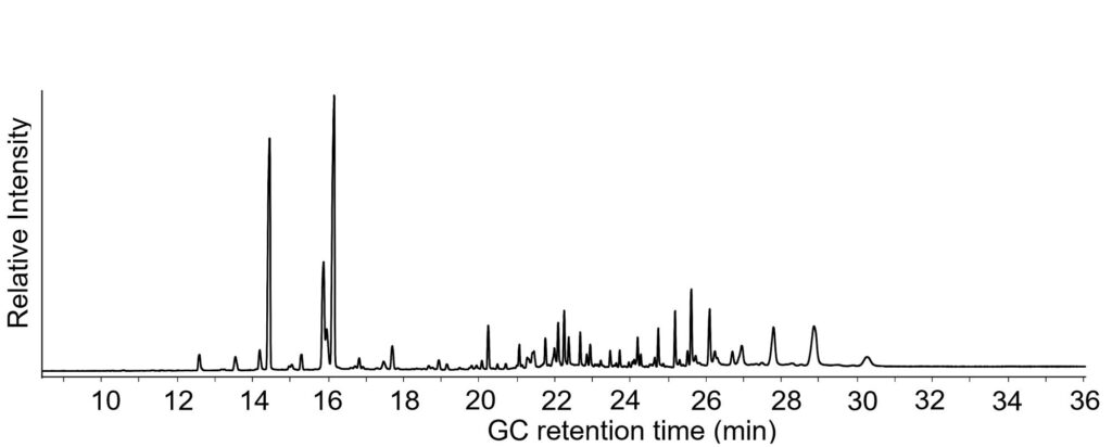 GC-MS chromatogram of an archaeological lipid extract showing a high number of signals which demonstrates the complexity of the sample