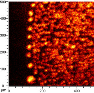 Droplets of a fatty acids as seen through ToF SIMS analysis