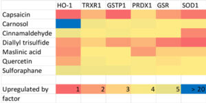 Heatmap