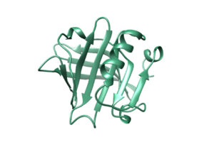 3D schematic of a receptor for molecular docking