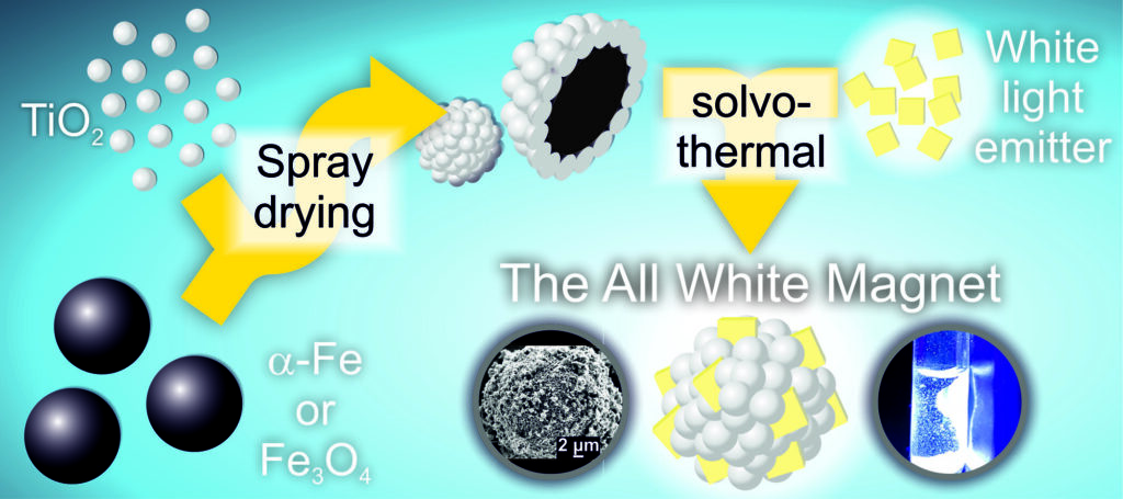 Table of content image of publication All White Magnet