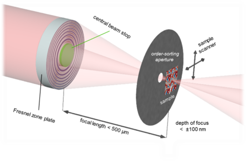 Fresnel zone plates are most commonly used as diffractive focusing elements in X-ray microscopy. In the Erlangen-STXM at the Paul Scherrer Institute, the beam is focused onto the specimen, which is raster-scanned at highest precision. The transmitted beam is sensitive to local X-ray absorption, which is a probe to elemental, electronic, magnetic, or chemical variations.