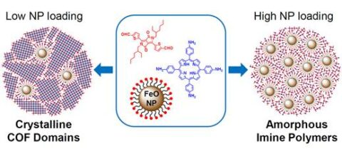 Table of content image COFs meet magnetic nanoparticles