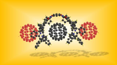 Host-guest complexes