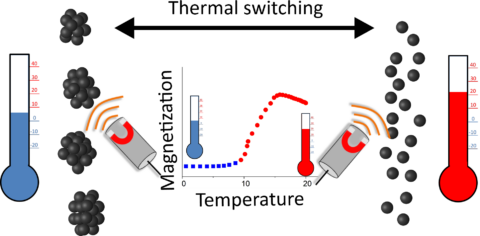 Reversible magnetism switching of iron oxide nanoparticle dispersions by controlled agglomeration