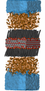 By means of molecular simulations we characterised the association of the nanoparticles and microplastics models to unravel the mechanisms of separating plastics from water. This leads to an in-depth understanding of the underlying principles of molecular recognition that inspires the design of nanoparticles with increasingly targeted functionality.