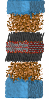 Towards entry "Effective method for removing nanoplastics and microplastics from water"