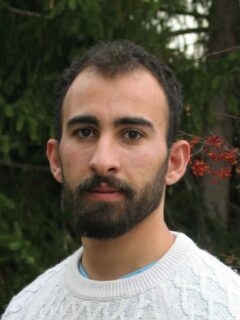 Hussein Alsaeedi