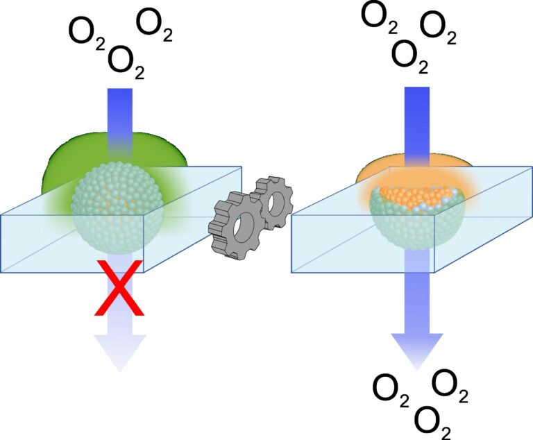 New paper accepted!