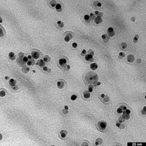 TEM image of Au-Fe3O4 nanoheterodimers