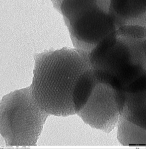 TEM image of mesoporous silica nanoparticles