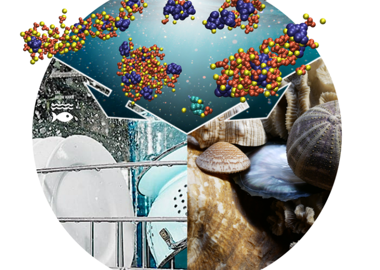 Using Chaos against Calcification