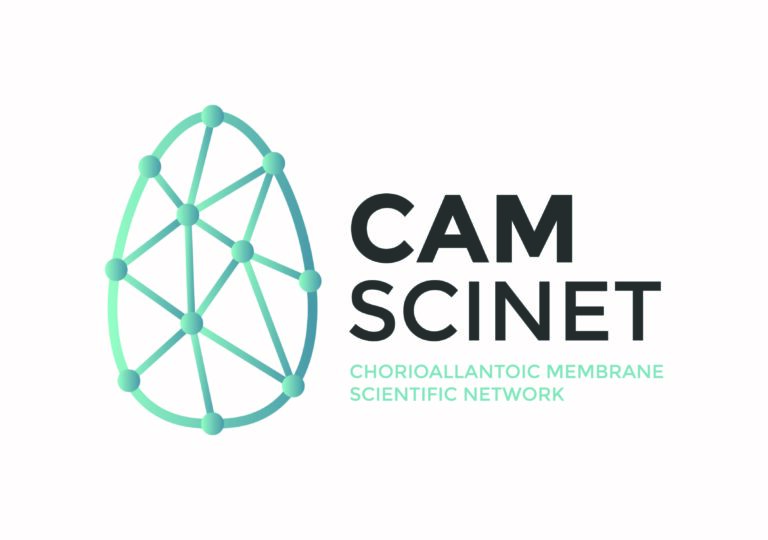 Foundation CAM SciNet