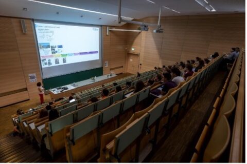 Dolores Pérez Meiràs fascinating insights into her aryne-based research and career journey