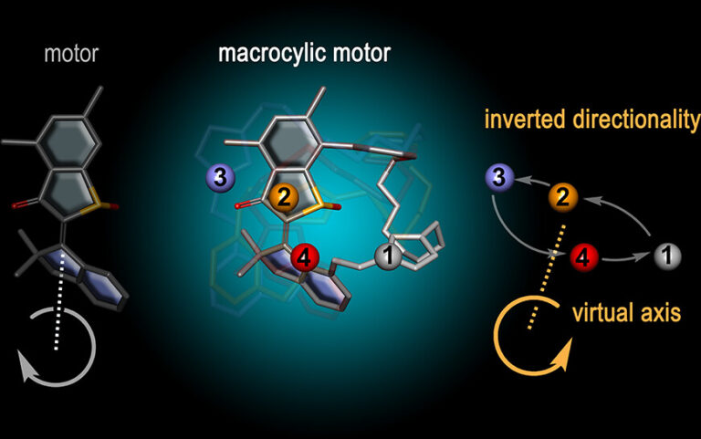 Reprogramming Molecular Motors Enables Precise Control through Light and Solvent