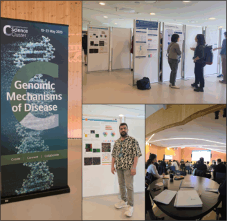 Towards entry "“Genomic Mechanisms of Disease” conference in Copenhagen"