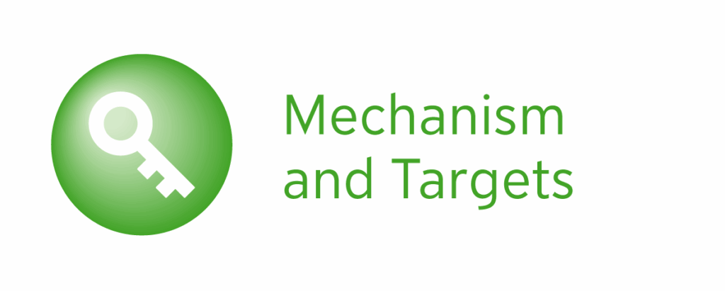 Icon Mechanism and Targets