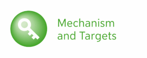 Icon Mechanism and Targets