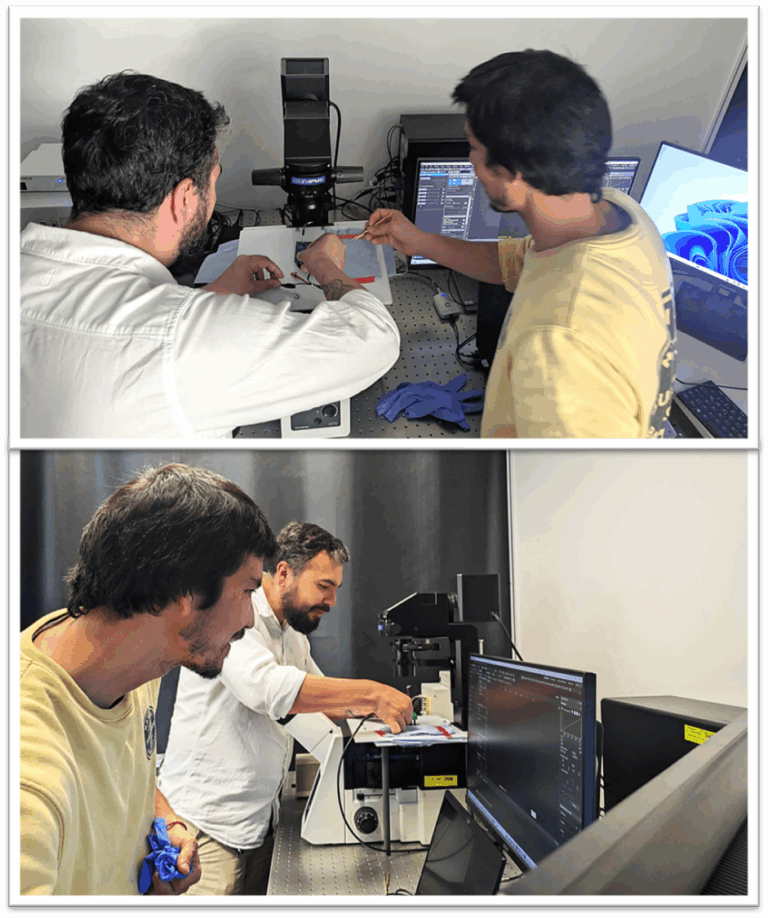 Guest Scientist from CIC biomaGUNE