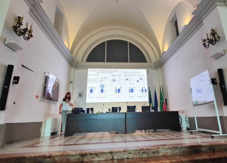 Danijela Gregurec lecturing at the International School of Physics “Enrico Fermi”
