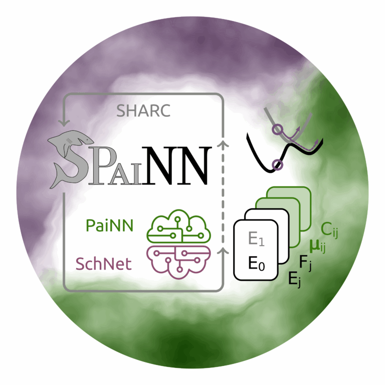SPaiNN for machine learning driven excited-state dynamics