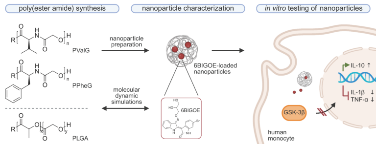 Jan Westhoff published about poly(ester amide)s improved by molecular dynamic simulations