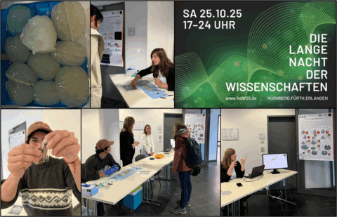 Symbolic picture for the article. The link opens the image in a large view.