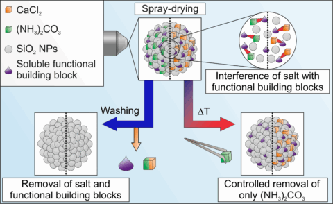 Symbolic picture for the article. The link opens the image in a large view.