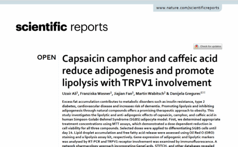 Symbolic picture for the article. The link opens the image in a large view.