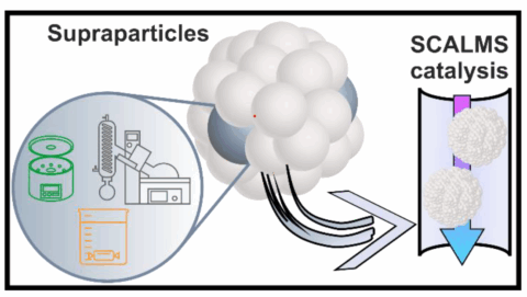Towards entry "New article published"