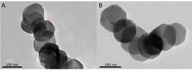 New study on “Magnetite nanodiscs as vortex-enhanced MRI contrast agents”