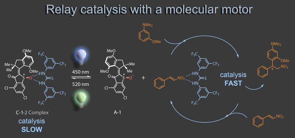 Dube Group – Research – Supramolecular Systems