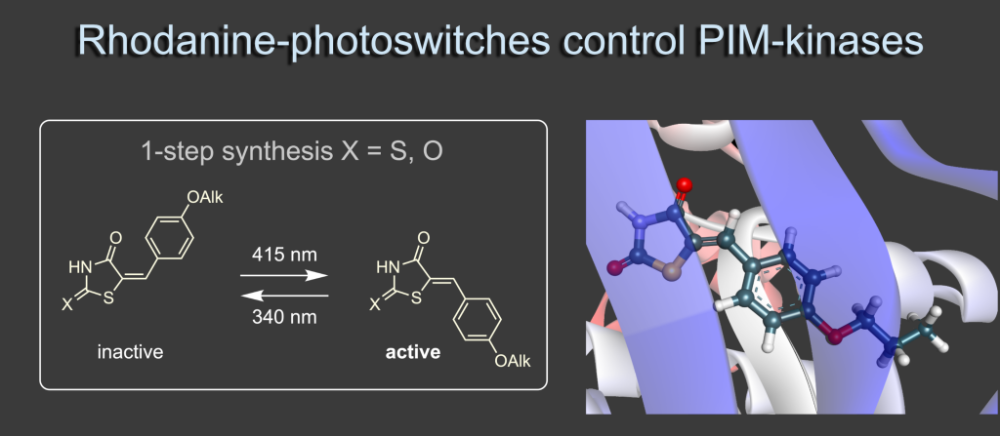 Dube Group – Research – Chemical Biology and Photopharmacology