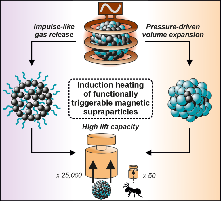 New article accepted in Advanced Materials