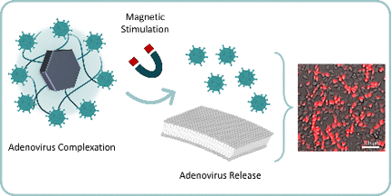 New publication in Chemical Communications